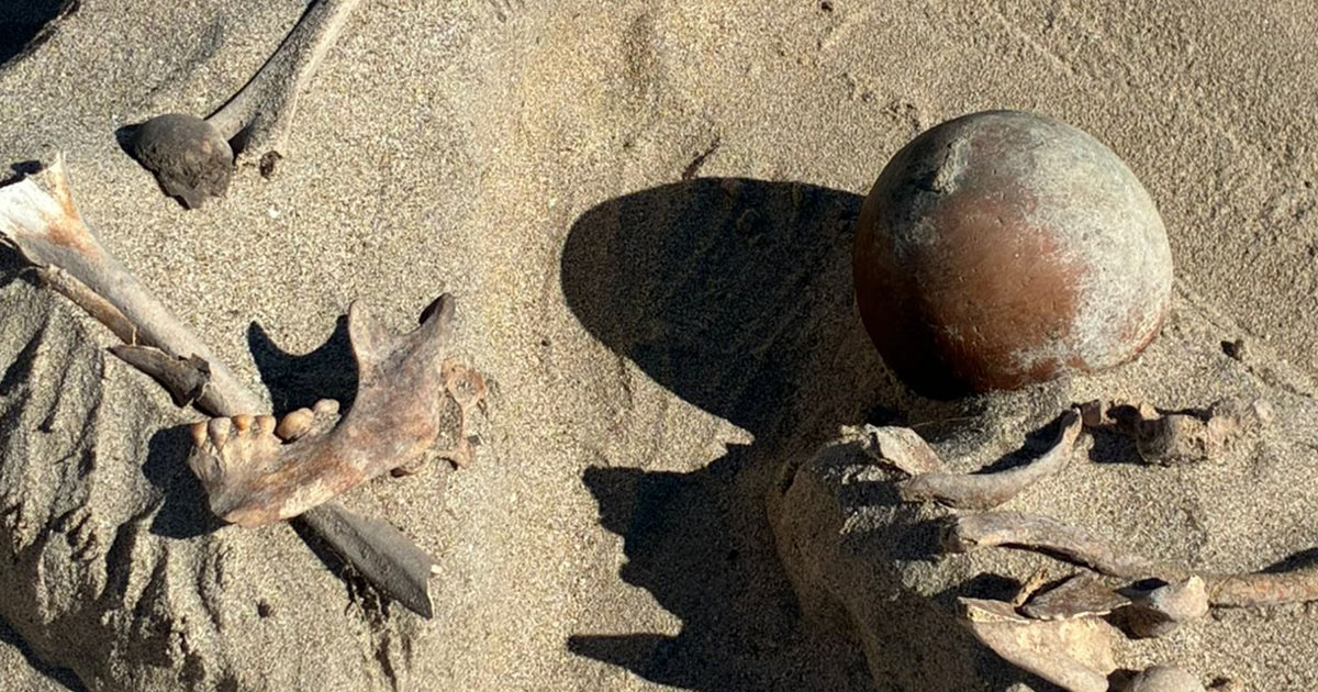 Arqueólogos del INAH Sonora recuperan entierro prehispánico en el Estero El Soldado