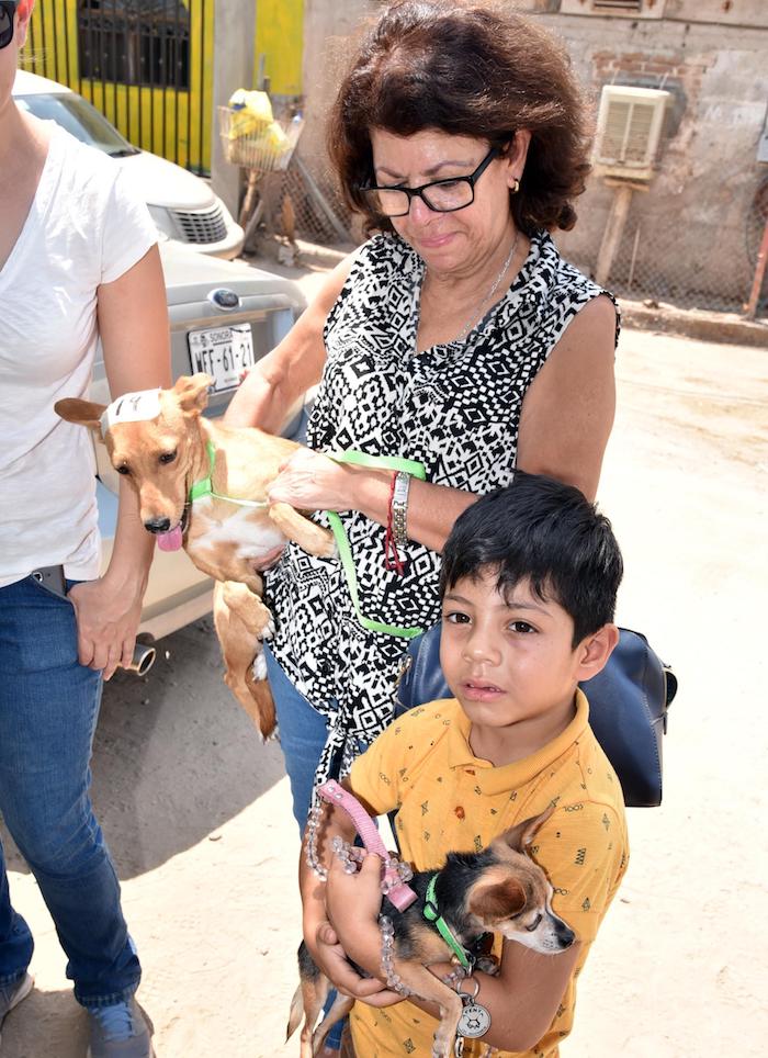 Esteriliza Salud Municipal mascotas en la colonia 4 Olivos Esteriliza Salud Municipal mascotas en la colonia 4 Olivos