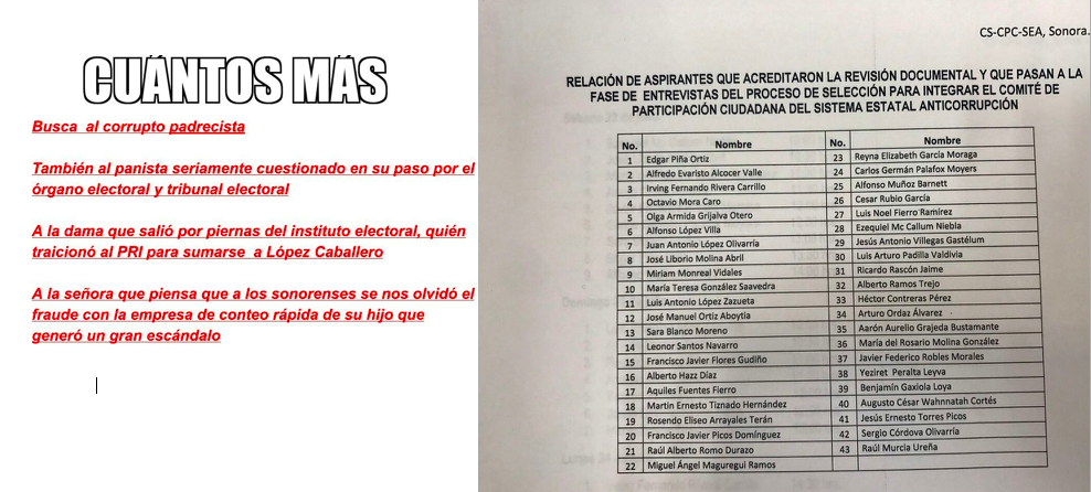 Ciudadanización riesgosa