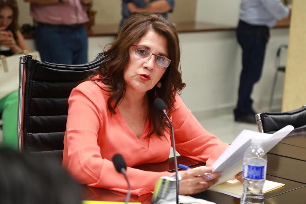 No politicemos el tema de las tarifas del transporte: Ana Luisa Valdés No politicemos el tema de las tarifas del transporte: Ana Luisa Valdés