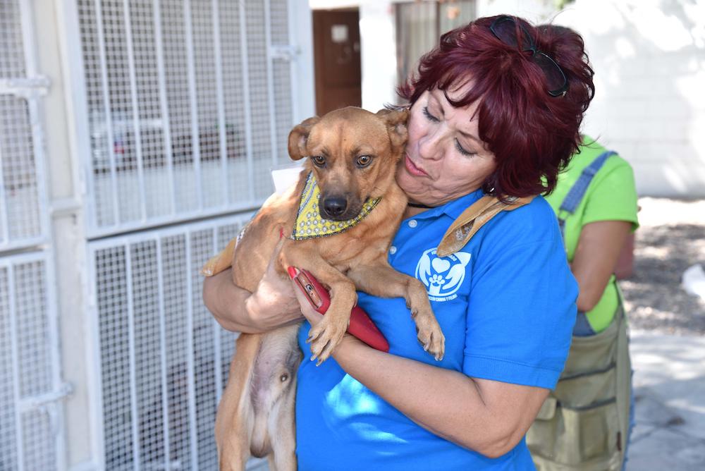 Hará CACF jornadas integrales de salud animal en zonas urbana y rural