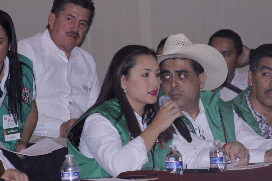 Urge programa para subsidiar vivienda digna a jornaleros: Iris Sánchez Chiu