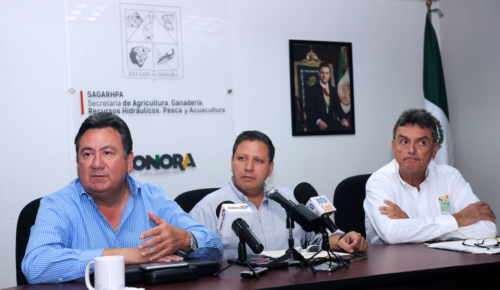 Continuaremos impulsando la innovación y tecnología en el campo sonorense: Sagarhpa