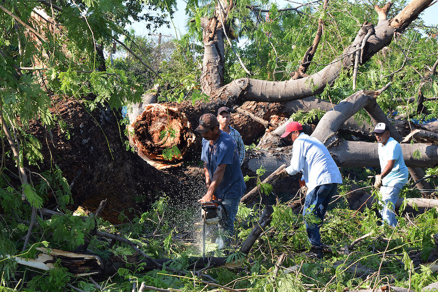 Atiende Ayuntamiento de Cajeme afectaciones por tormenta
