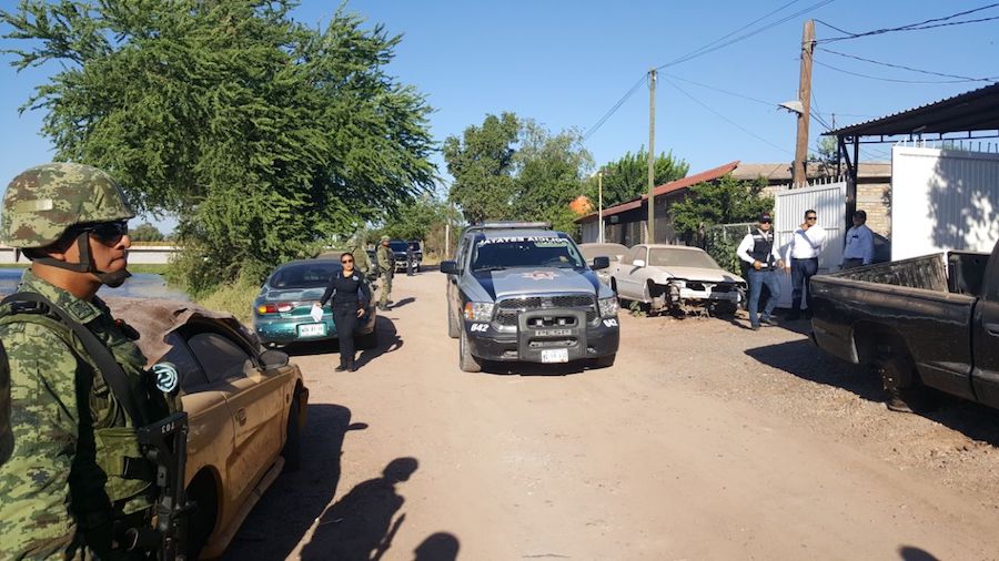 Asegura Grupo Coordinado más de 9 mil dosis de droga en Cajeme