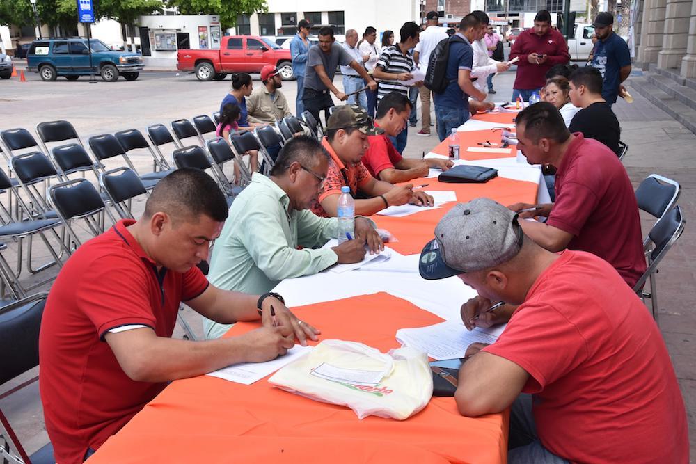 Supera expectativas recepción de solicitudes para Empleo Temporal
