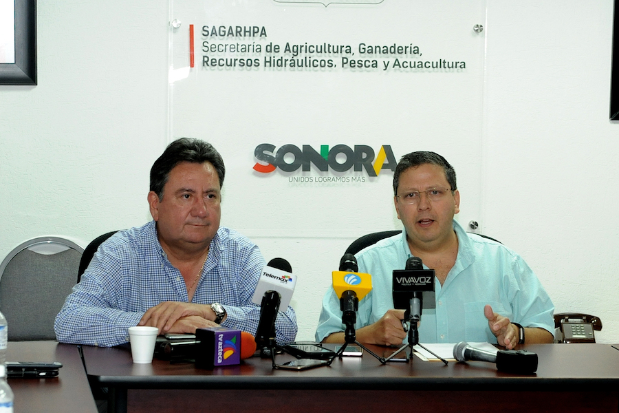 Inicia Sagarhpa registro de productores de trigo para pagar incentivo