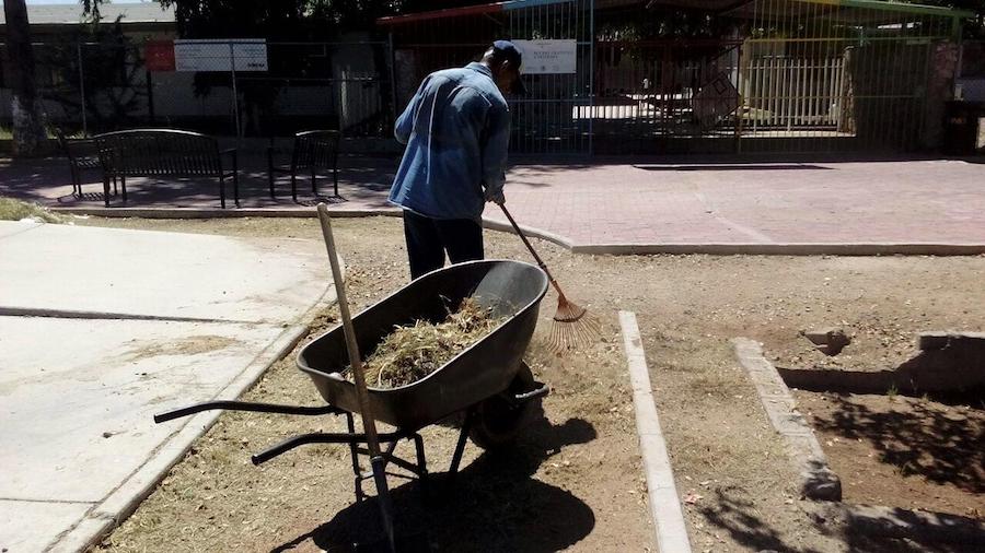 Aplican operativo de rescate de espacios con riesgo de incendios en Las Granjas