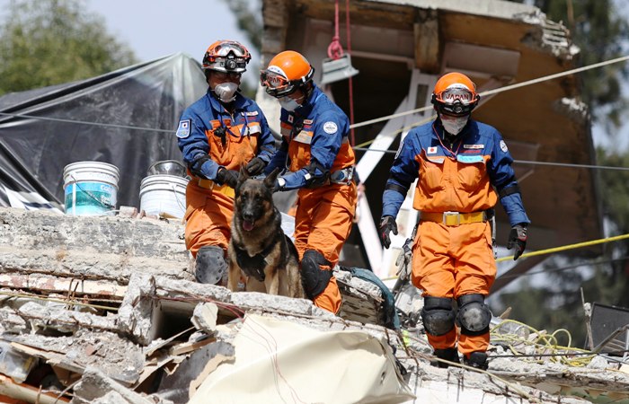 Sube a 324 la cifra de muertos por sismo del 19-S