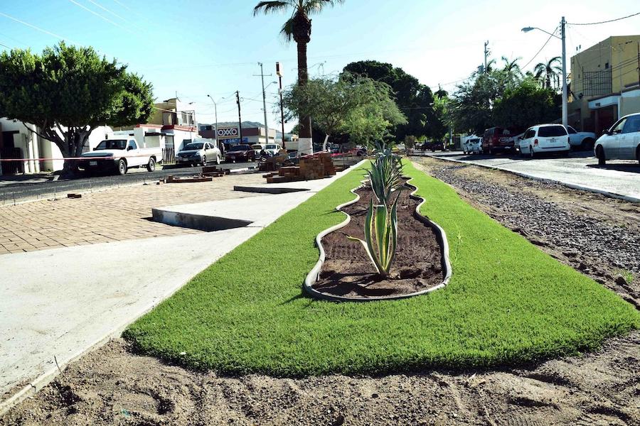 Mejoran con infraestructura verde funcionalidad en camellón de la calle León Guzmán