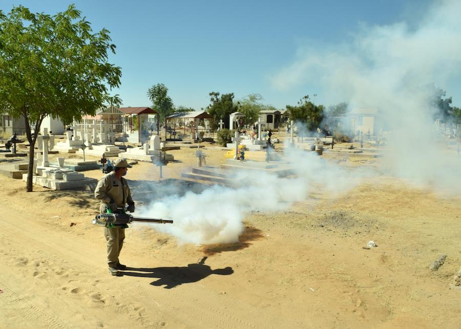 Ultiman acciones de limpieza y fumigación en panteones municipales Ultiman acciones de limpieza y fumigación en panteones municipales