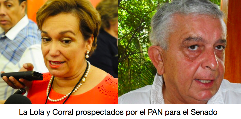 Rebatinga en el PAN