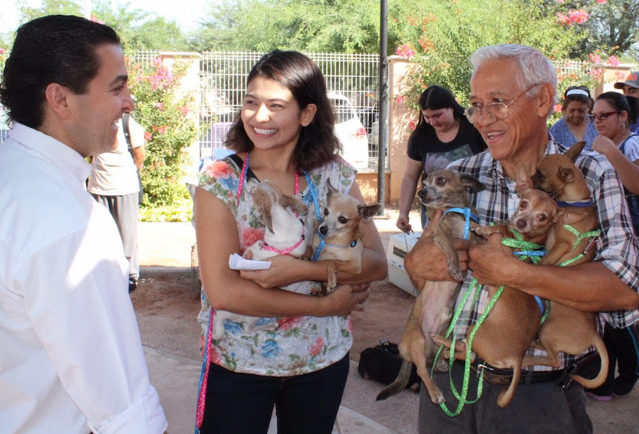 Mejorará la Salud Pública de Hermosillo controlando sobrepoblación de animales: Palafox