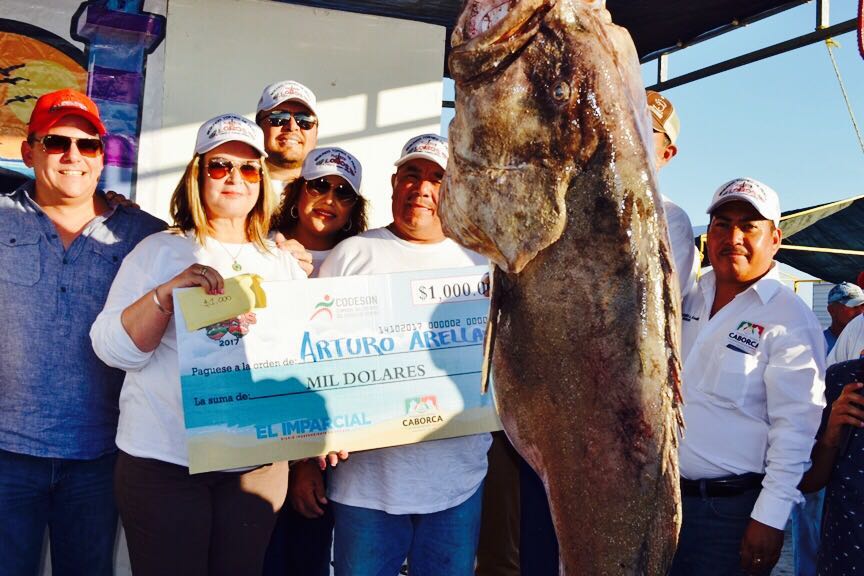 Supera expectativas el Torneo de Pesca Puerto Lobos 2017
