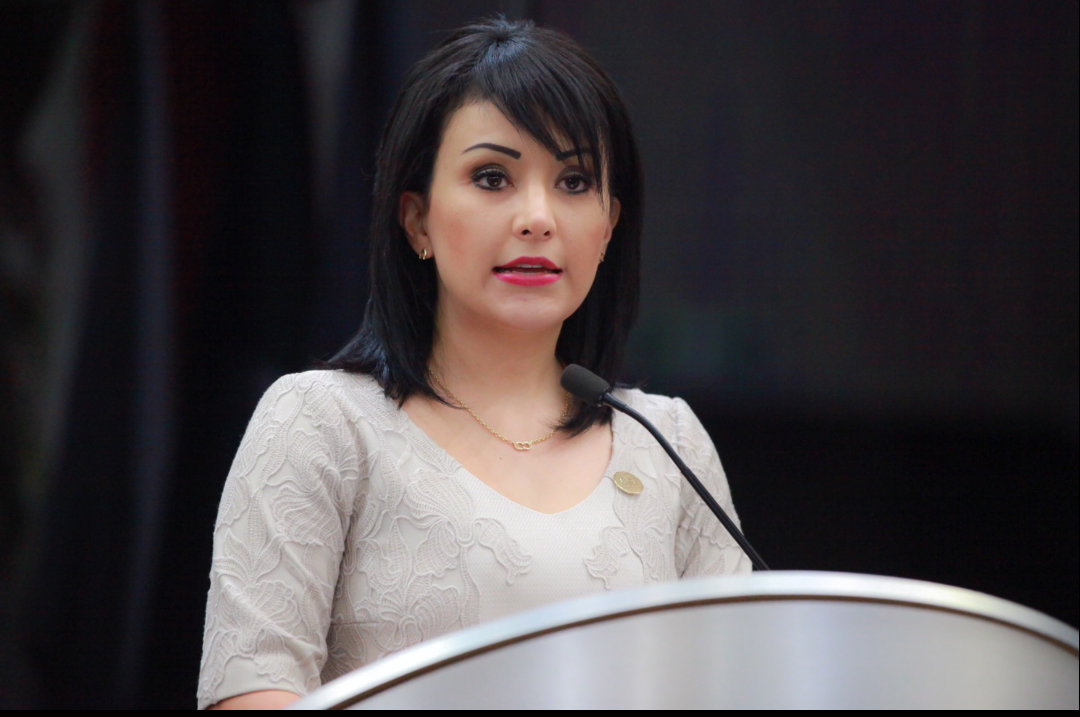 Presenta Carolina Lara reforma al Código Penal, para que malos funcionarios paguen