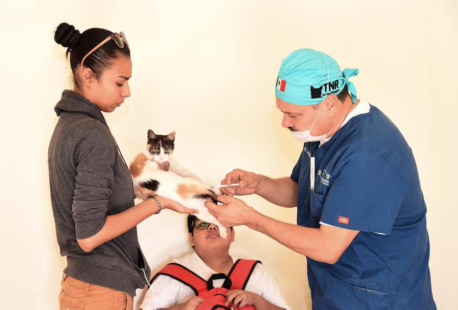 Realiza CACF jornada de salud animal en Las Amapolas Realiza CACF jornada de salud animal en Las Amapolas