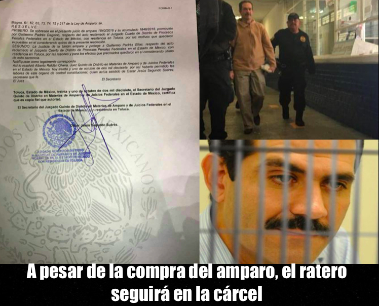 Aberrante fallo judicial