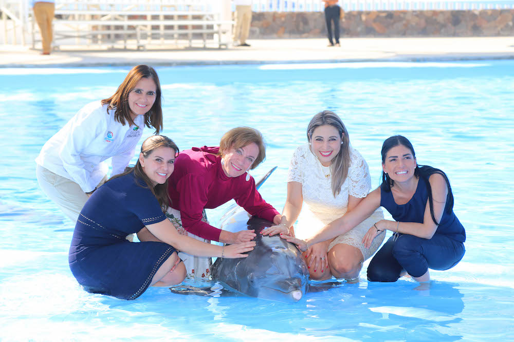 Atestigua Directora de DIF Nacional terapias en Delfinario Sonora Atestigua Directora de DIF Nacional terapias en Delfinario Sonora