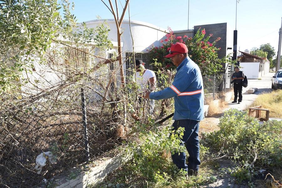 Eliminan riesgo de incendio en vivienda abandonada Eliminan riesgo de incendio en vivienda abandonada
