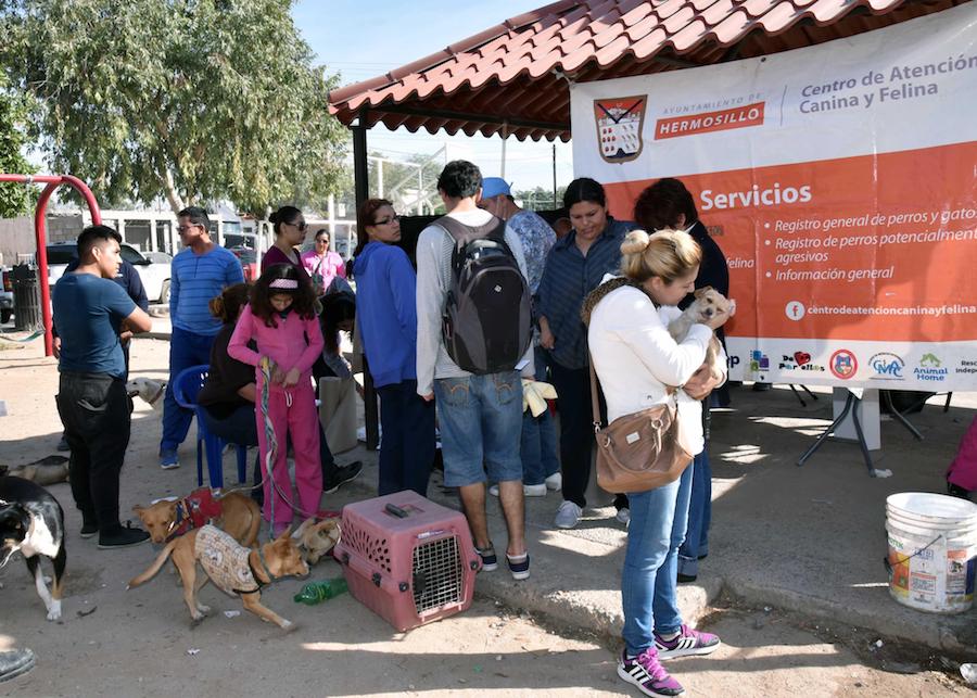 Será en Las Amapolas próxima Jornada Integral de Salud Animal