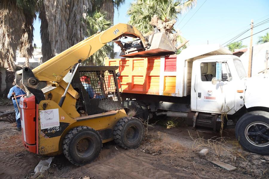 Realizan limpieza en predio habitado por personas en situación de calle