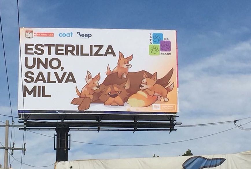 «Excelente campaña de concientización para una convivencia armónica con los animales»: Palafox «Excelente campaña de concientización para una convivencia armónica con los animales»: Palafox