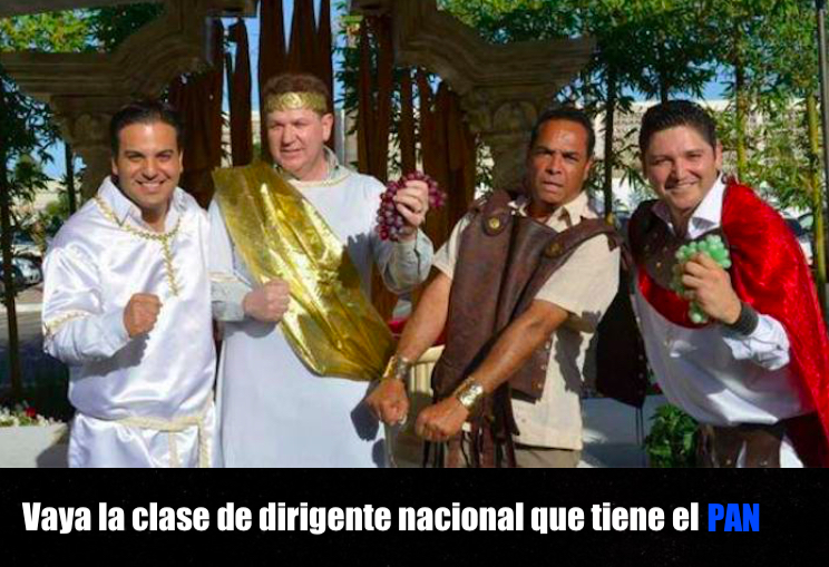 Congruencia en el PAN