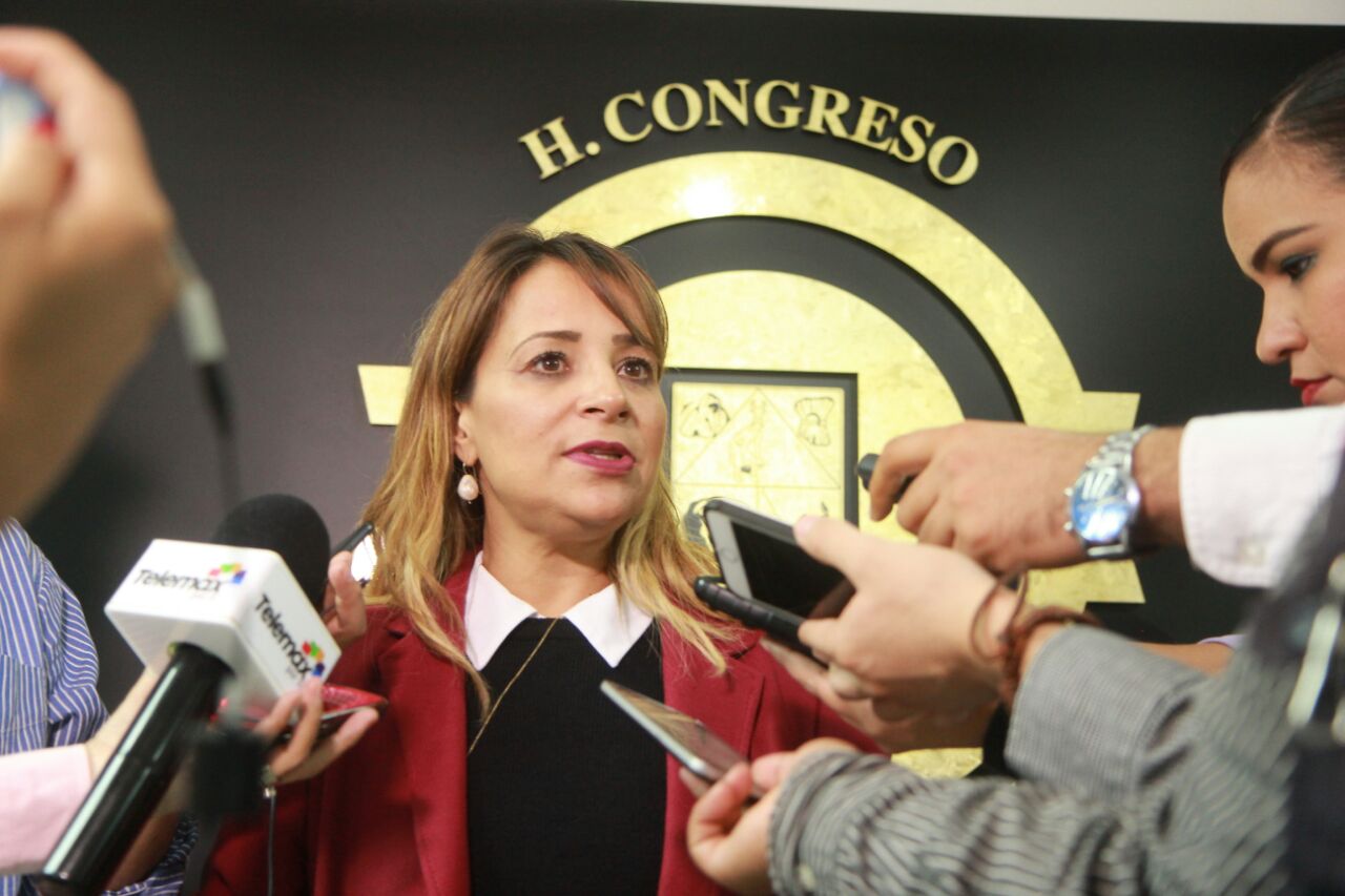 Recibiran ladrones sanciones más fuertes: Flor Ayala