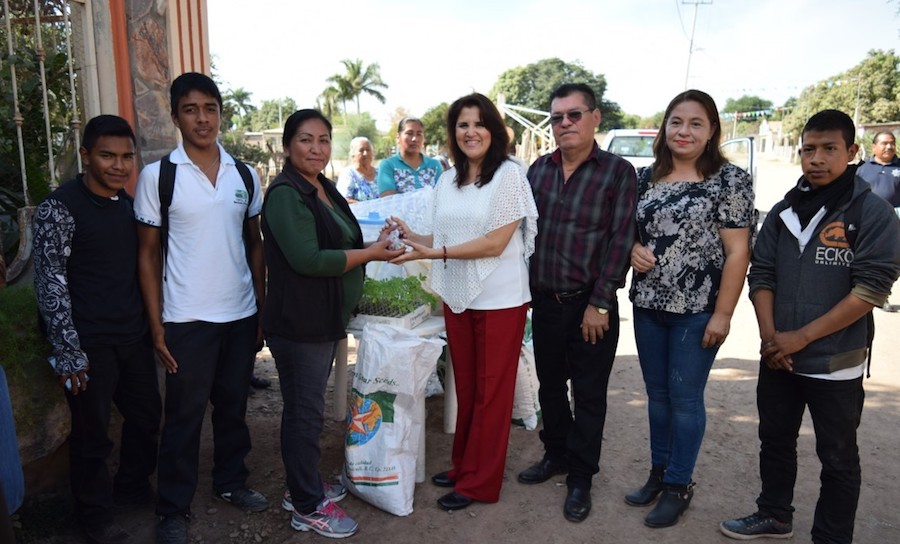 Con más de 290 huertos familiares, impulsamos la economía del sur de Sonora: Ana Luisa Valdés