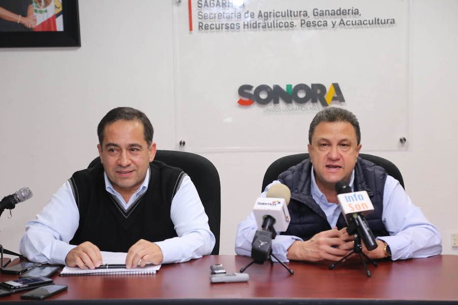 Significativos avances en pagos a trigueros sonorenses