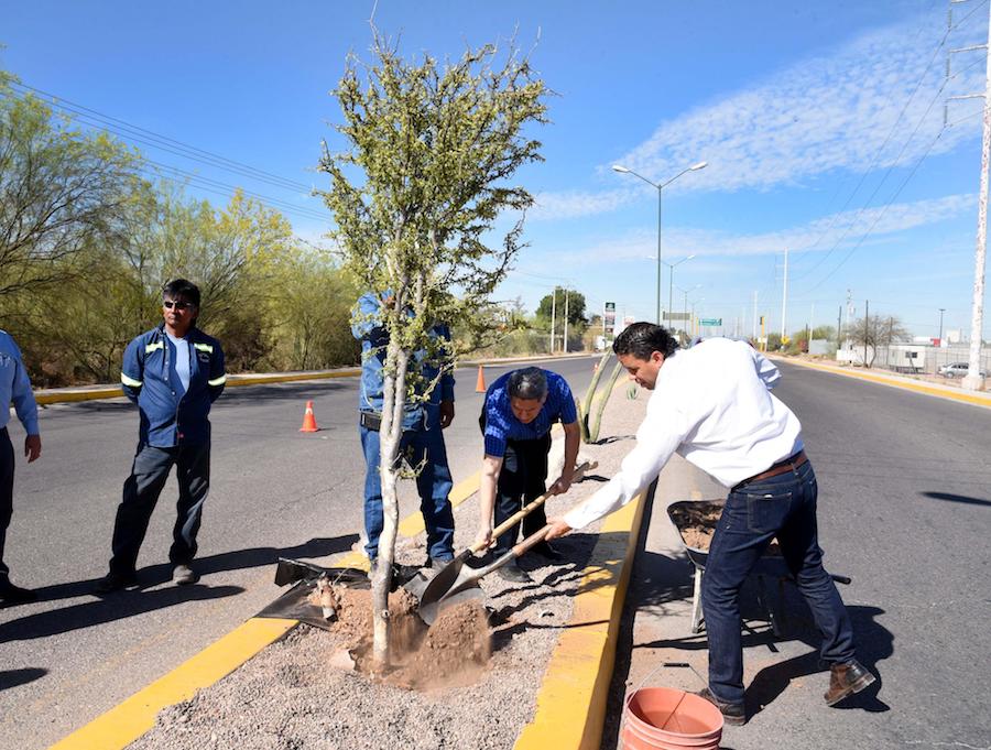 Adoptan tramo de bulevar en carretera a Sahuaripa