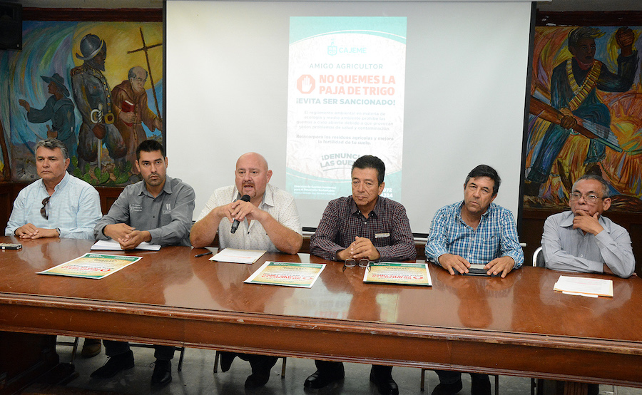 Llama Ayuntamiento de Cajeme a productores a no quemar gavilla