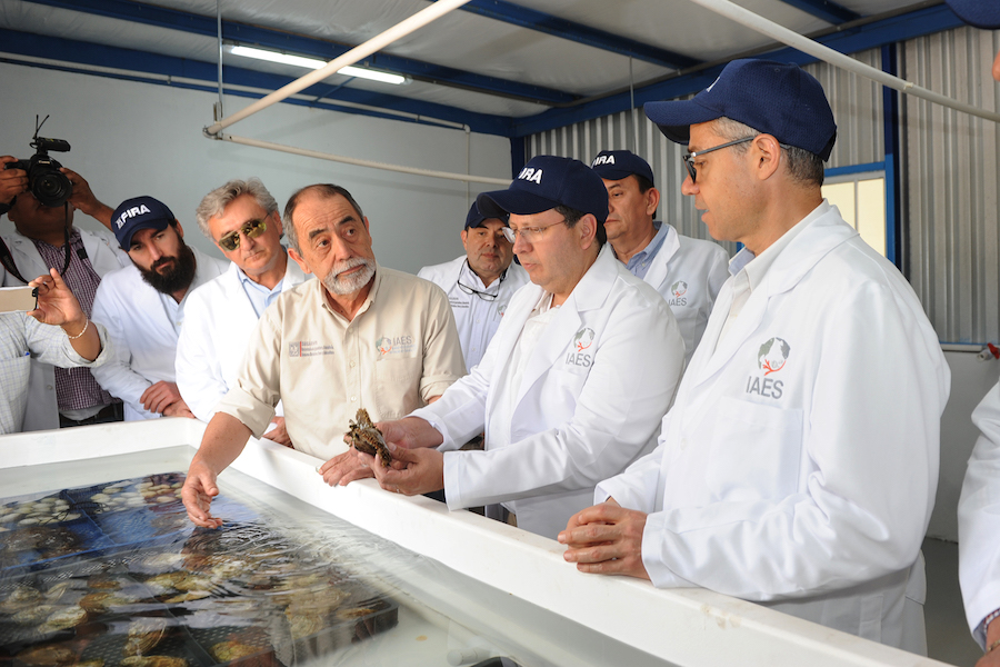 Busca SAGARHPA potenciar litorales de Sonora