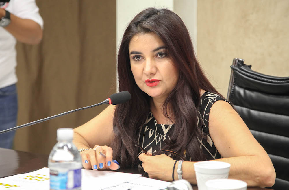 Garantiza ley medio ambiente sano a futuras generaciones: Sandra Hernández