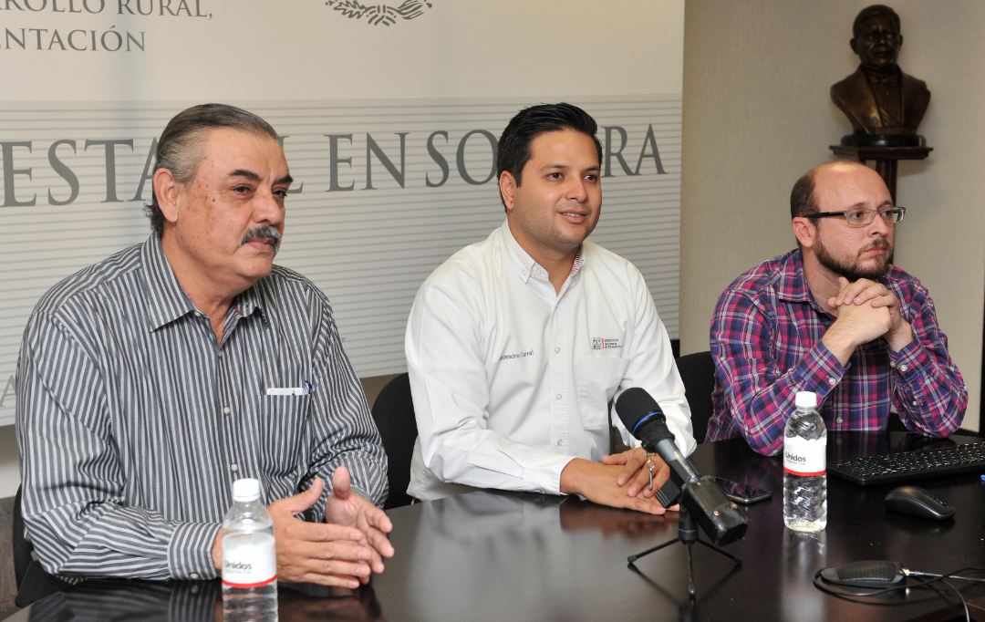 En Sonora avanza la lucha contra la pobreza extrema