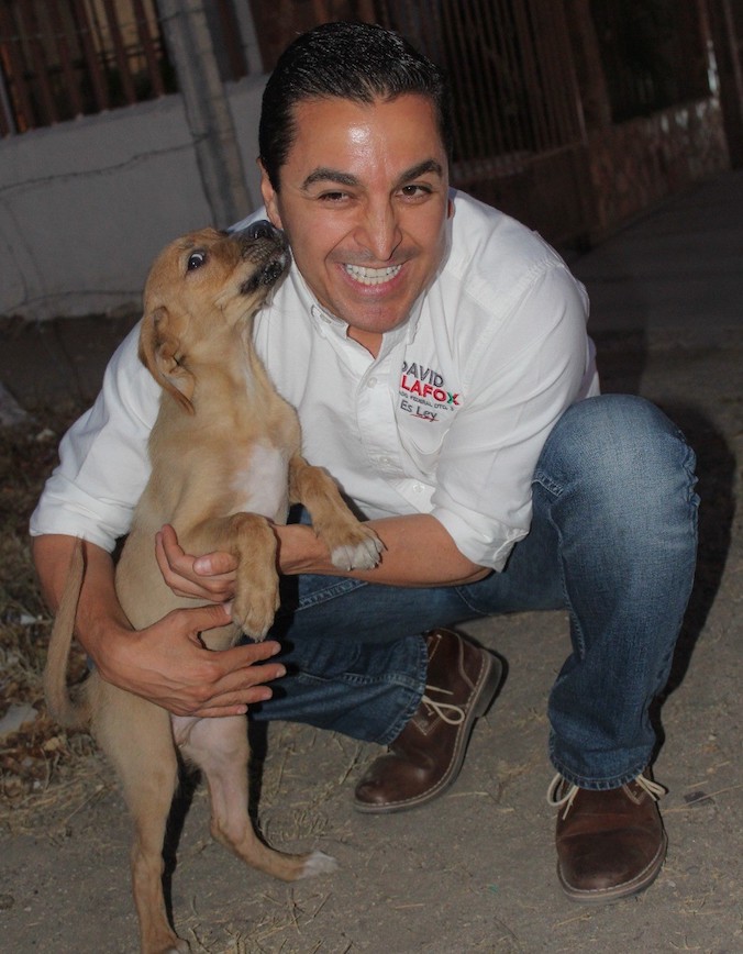 Promoveremos, con nuestro ejemplo, una mejor cultura del bienestar animal: David Palafox Promoveremos, con nuestro ejemplo, una mejor cultura del bienestar animal: David Palafox