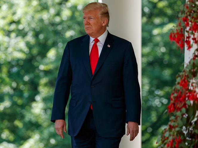Hollywood llevará al cine el ascenso al poder de Trump