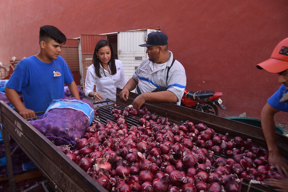 Respaldan comerciantes de la Central de Abastos a Anabel Acosta