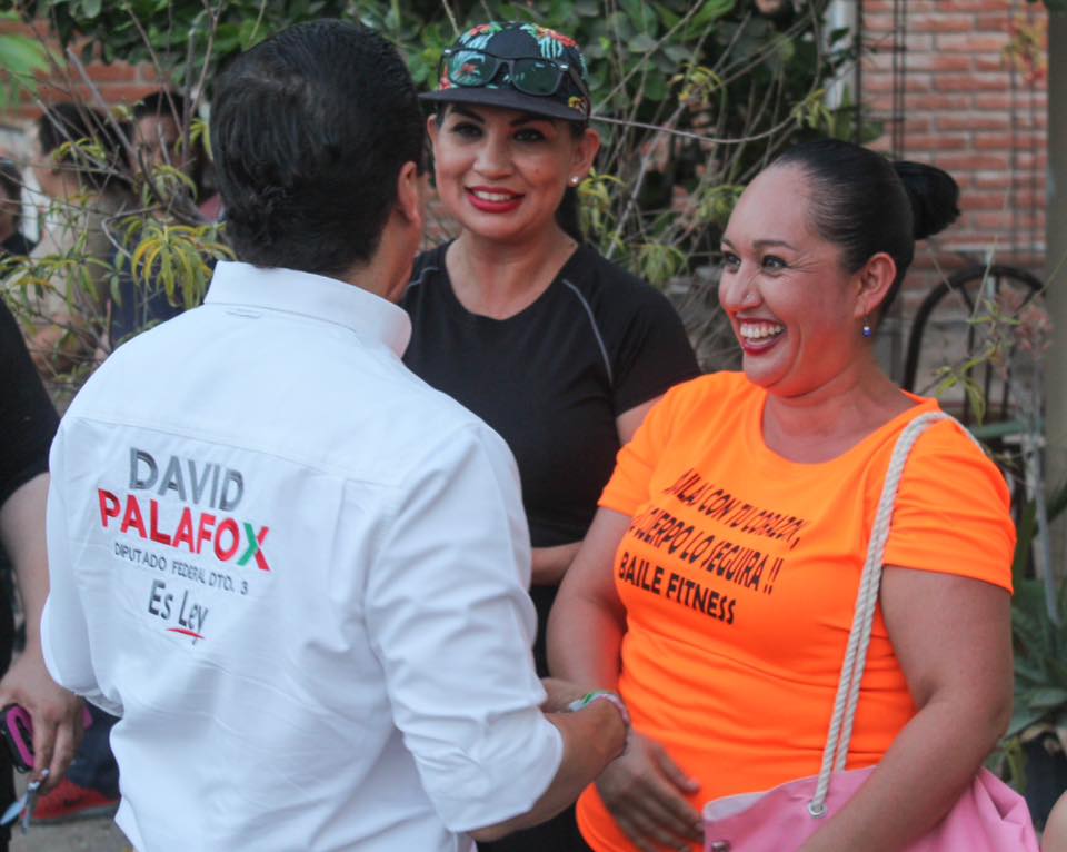 Cuatro causas sociales distinguen nuestro proyecto legislativo: David Palafox