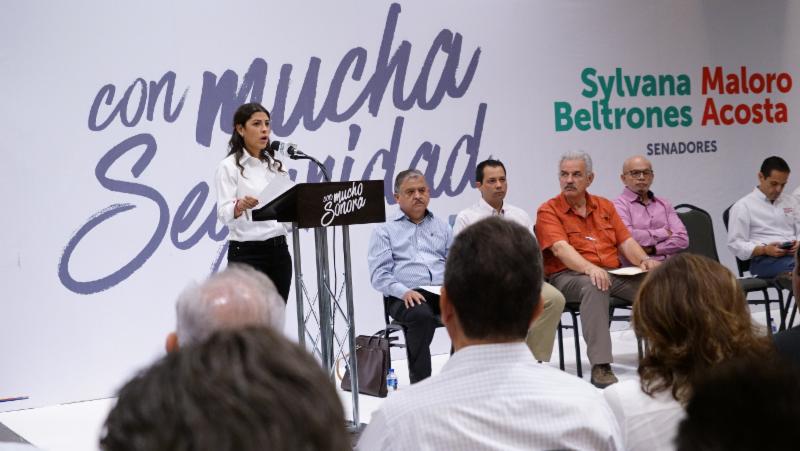 Ladrones de casas y negocios a la cárcel sin fianza: Sylvana y Maloro