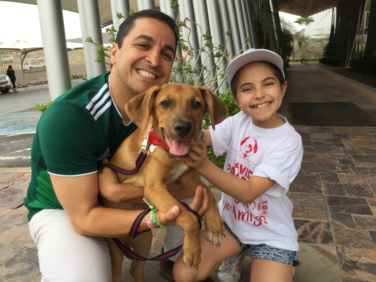El respeto a la vida de los animales quedará mejor plasmado en nuestra legislación: David Palafox