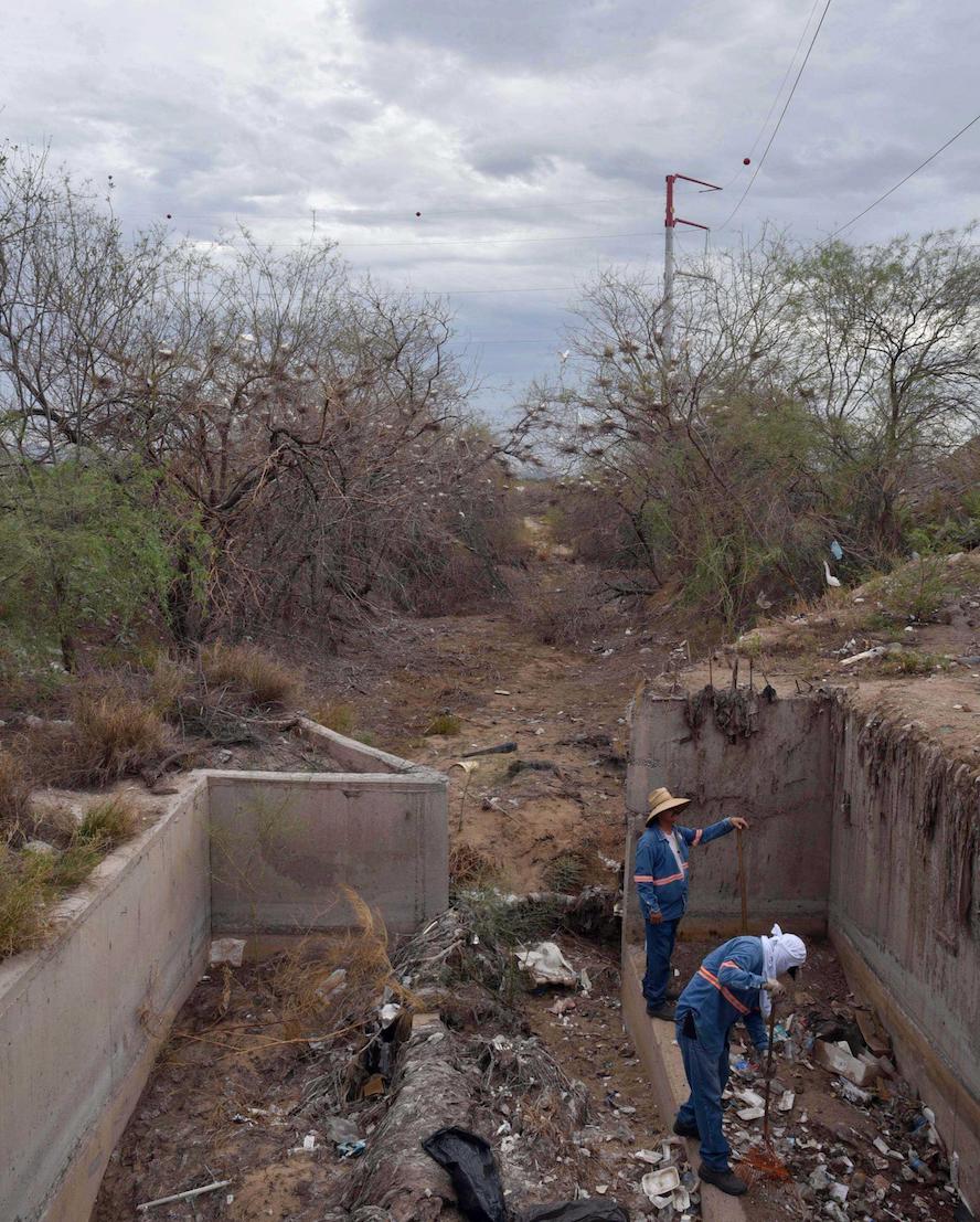 Retiran basura en hábitat de garzas