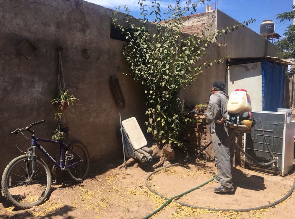 Realiza Secretaría de Salud acciones preventivas para el combate al mosco Realiza Secretaría de Salud acciones preventivas para el combate al mosco