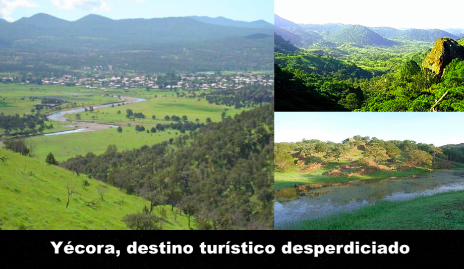 Olvido, ausencia, temor Olvido, ausencia, temor