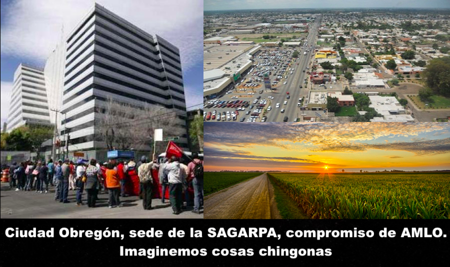 Lecciones electorales Lecciones electorales