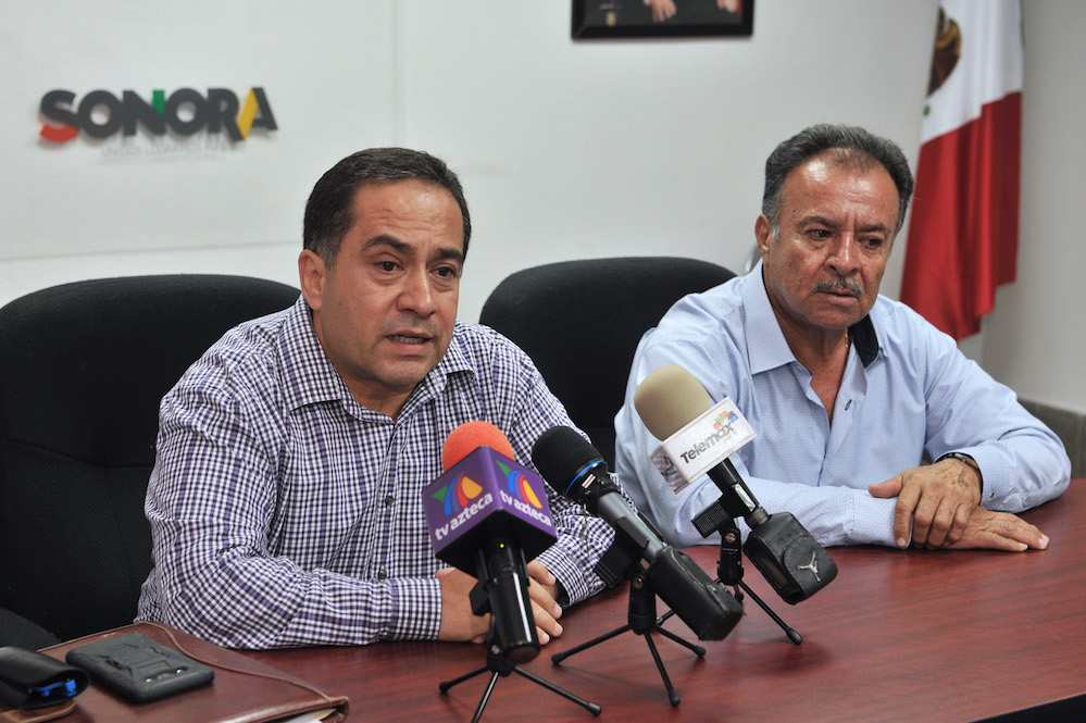 Pescan más de 60 mil toneladas de medusa bola de cañón