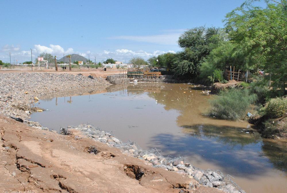 Confirman efectividad de Infraestructura Verde del Parque “La Esperanza”