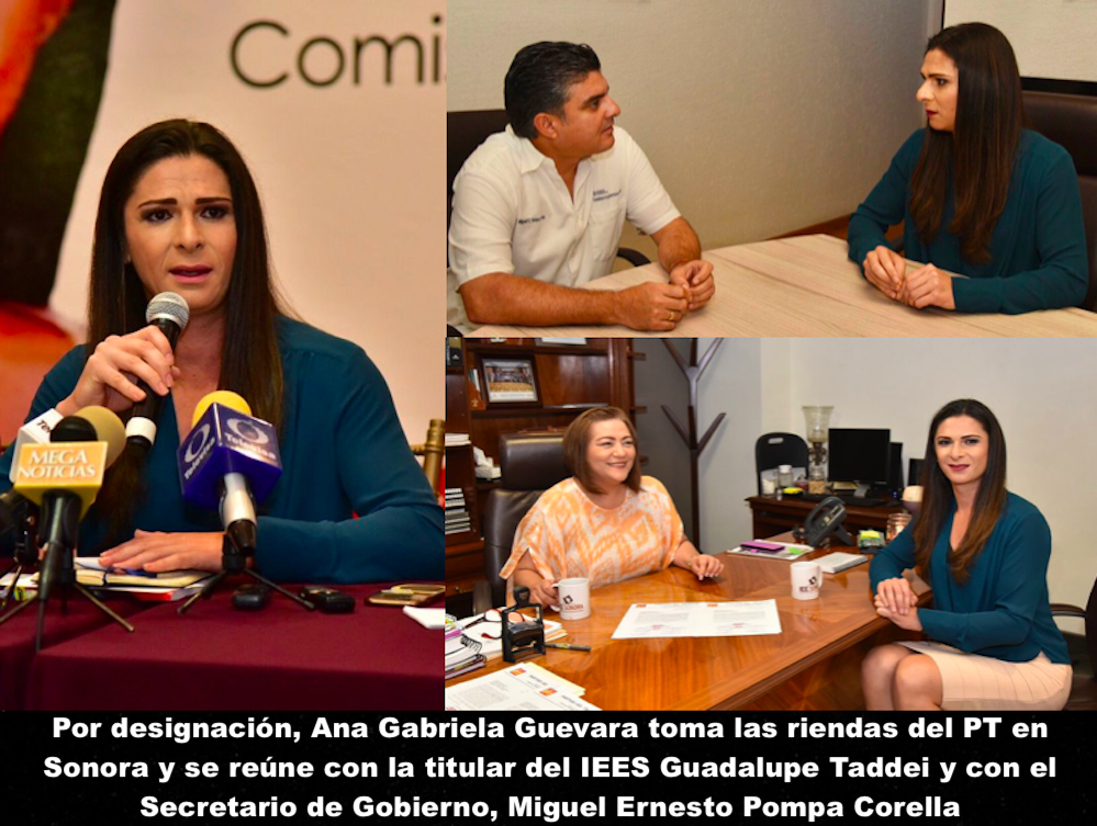 La nueva democracia La nueva democracia