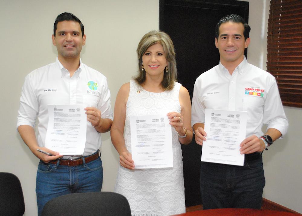 Contarán los árboles de las áreas públicas del Ayuntamiento Contarán los árboles de las áreas públicas del Ayuntamiento