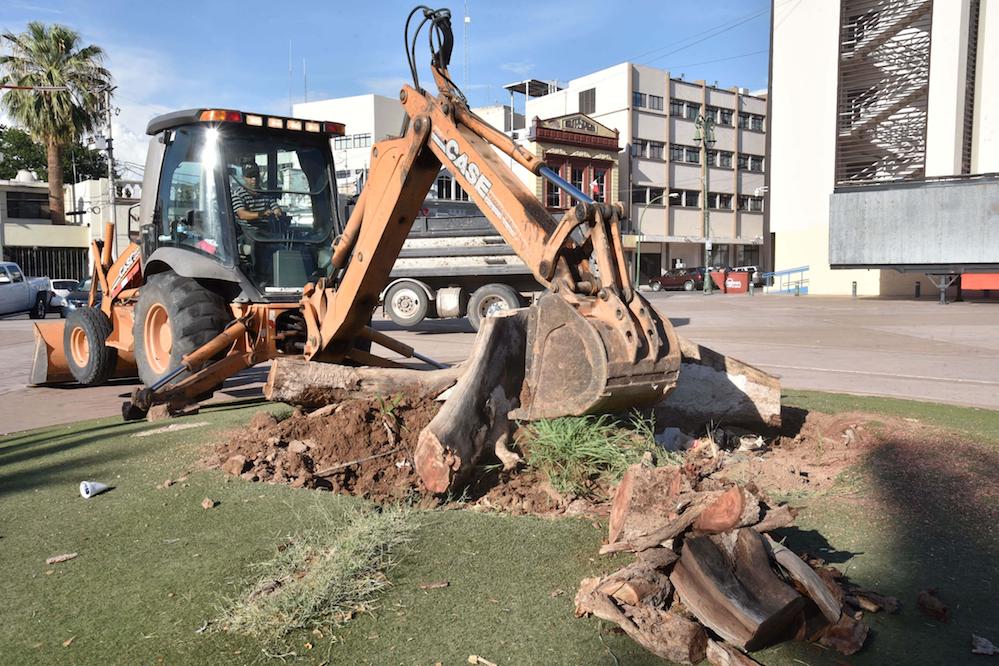 Inician trabajos para plantar árboles en la Plaza Alonso Vidal
